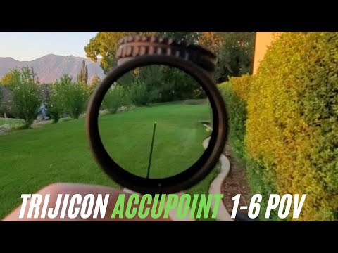 Trijicon AccuPoint 1-6x24mm Triangle Post POV