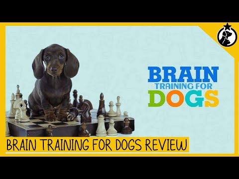 Brain Training for Dogs-- Everything You Need to Know About Training Dogs