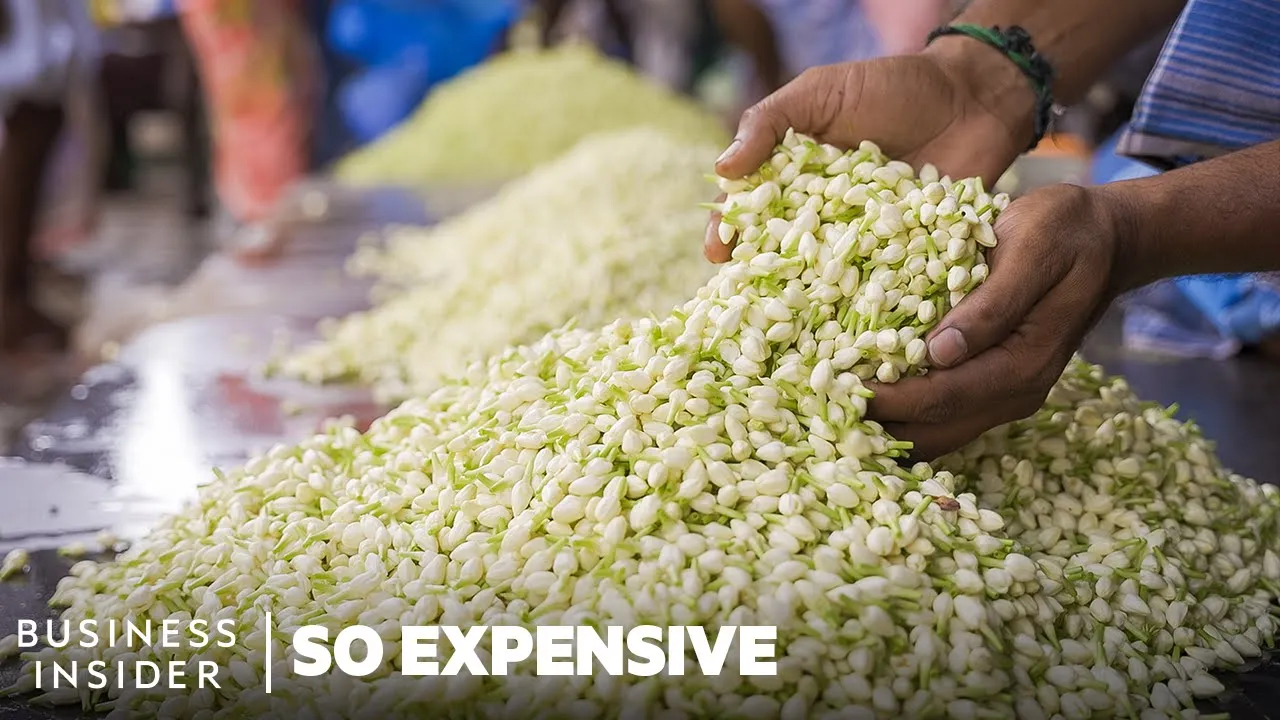 Why Jasmine Oil Is So Expensive | So Expensive | Business Insider