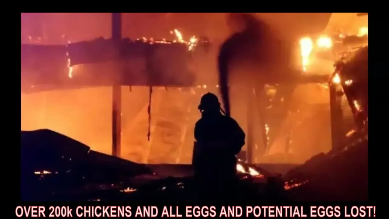 Forsman Farms Chicken And Egg Facility Goes Up In Flames May 30th 2022!