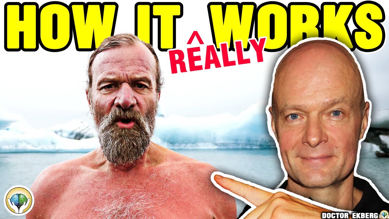 What Happens During Wim Hof Breathing? Welcome to What Really Happens In Your Body When by Dr. Sten Ekberg