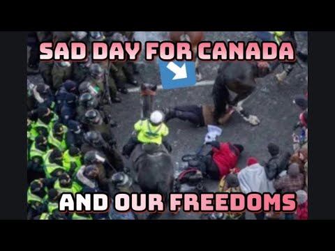 canadian freedom covoy. police horses used to trample peaceful protestors