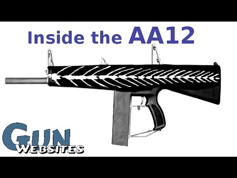 AA12 Full Auto Shotgun (Inside the Gun)