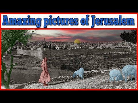 Extreemly Rare pictures of Jerusalem revealed! See How the Holy City have changed!