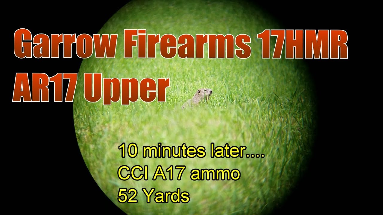 Garrow Firearms 17HMR AR17 Upper  CCI A17 Ammo 1st Groundhog