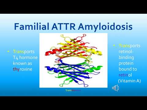 Familial ATTR Amyloidosis (Hereditary Type)