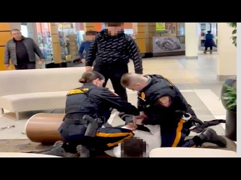 NEW JERSEY MALL FIGHT RACIAL DIVIDE FALSE FLAG TAKE 3. YOU HEARD THE LIES, HERE'S THE TRUTH