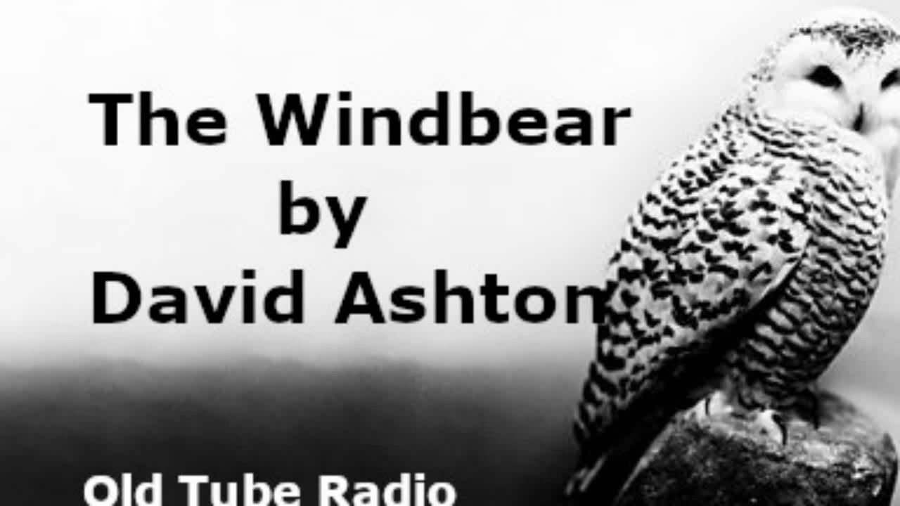 The Windbear by David Ashton