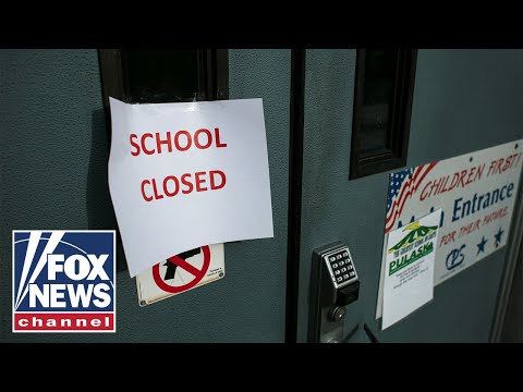 Teachers union hit with lawsuit over school closures