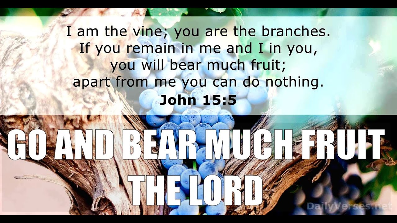 Go And Bear Much Fruit for The Lord - He Has So Much More For You!