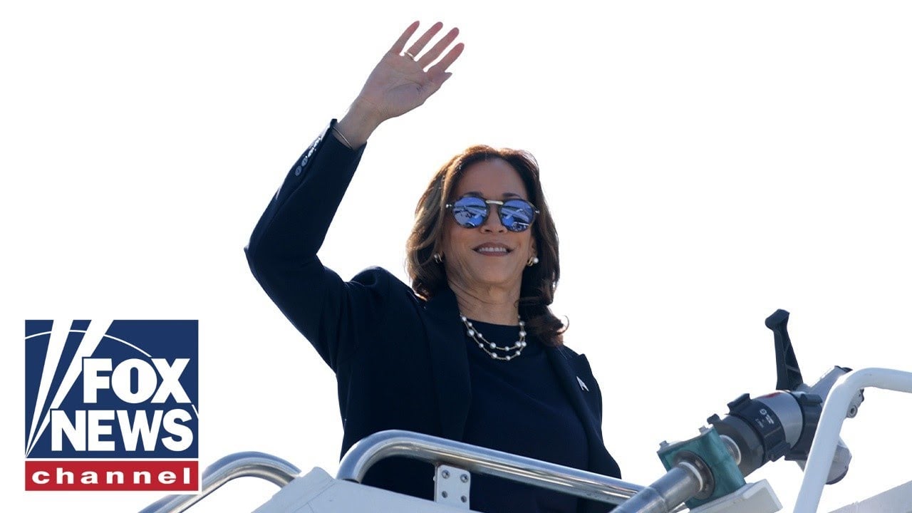 Kamala's new economic idea mocked: 'This has never worked!'