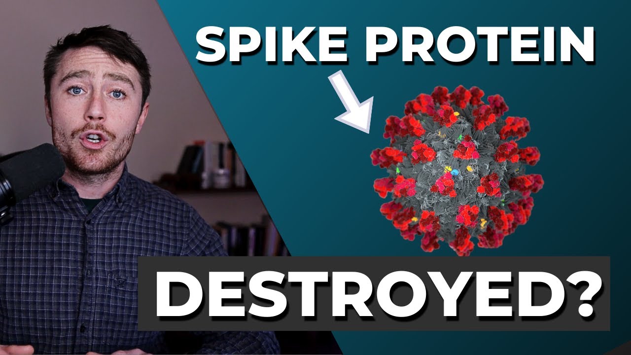 THIS Destroys Spike Protein!?