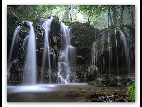 Wo will inherit the Kingdom of God ?