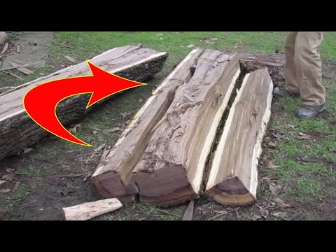 Genius Turns An Old Tree Trunk Into A Masterpiece Without Using A Single Power Tool