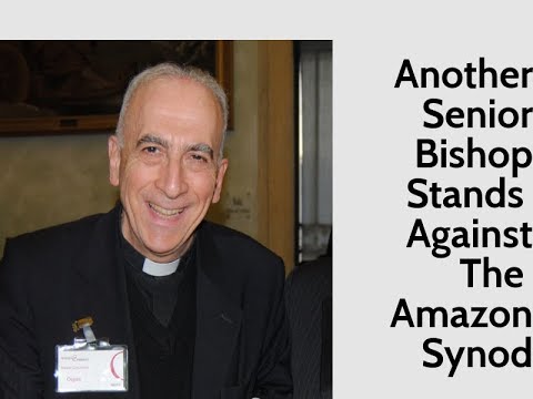 Another Senior Bishop Stands Against The Amazon Synod