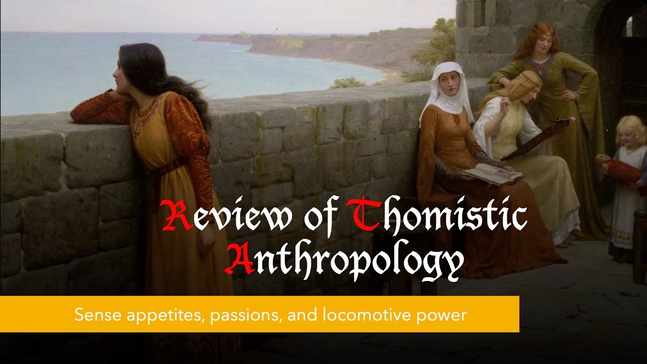 Thomistic Anthropology | Sense appetites, Passions, Locomotive power