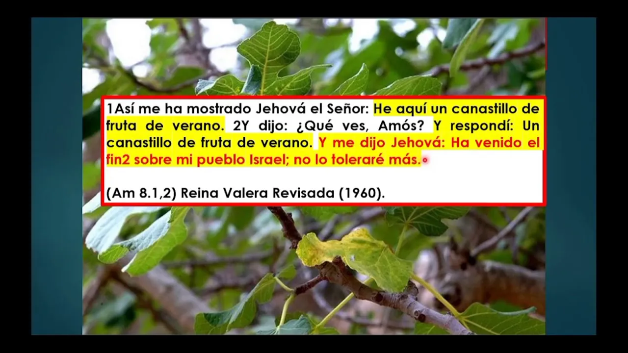 Tema: El Juicio de los Vivos ha Comenzado - Parte 5 - Por Allan Euceda