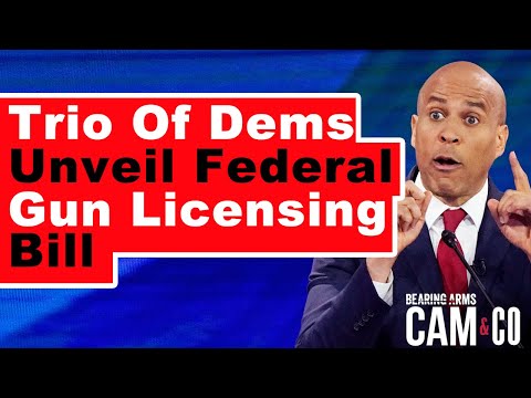 Trio of Democrats unveil federal gun licensing bill