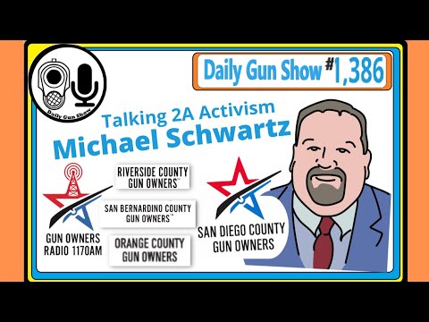 Michael Schwartz, 2A Activism in 2022