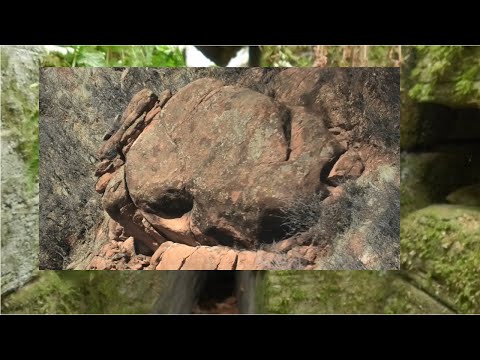 On Video - Are Those Boulders Real ? -Boulders That have never been there just Appear