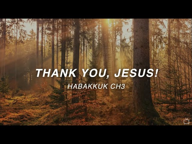 "Thank You Jesus" Habakkuk 3 with Tom Hughes