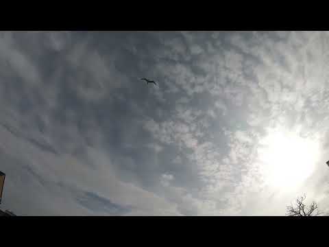 Day Time Lapse 28th February 2022