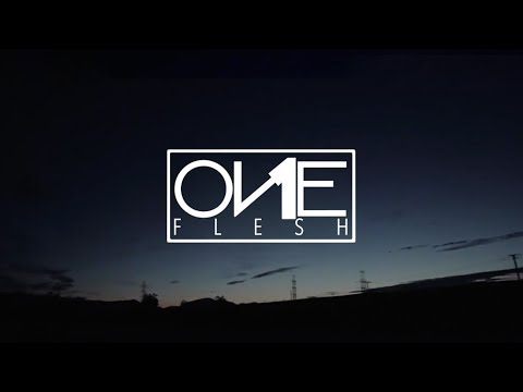 Our Current Reality: One Flesh
