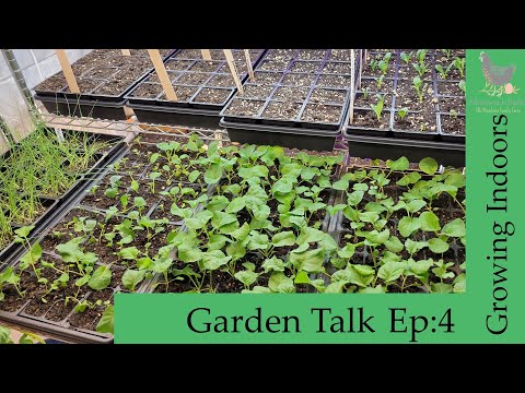Garden Talk EP4 : Growing Indoors