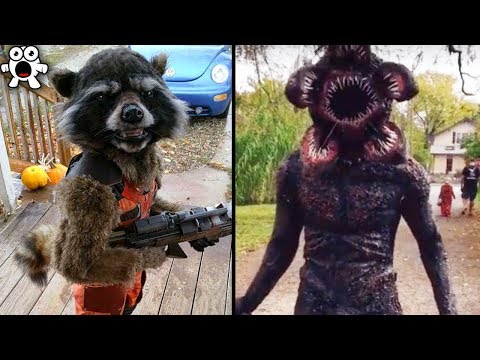 Creative Halloween Costumes People Took To The Next Level