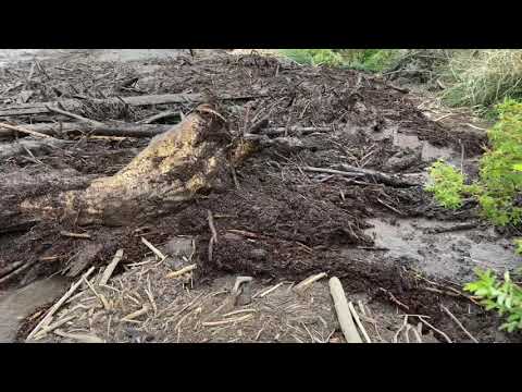 DANGEROUS DEBRIS FLOW with trees and tractor tires in flash flood off Pine Gulch Fire scar Colorado