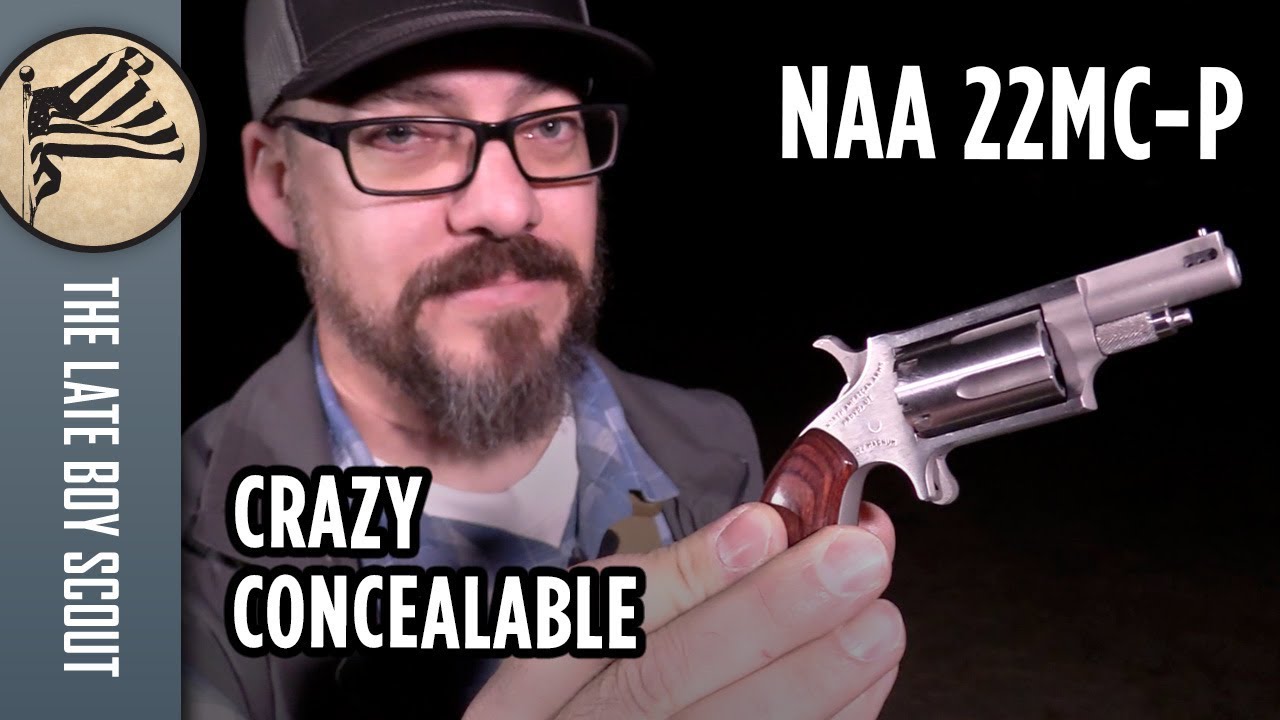 This Gun is SO Easy to Carry, But is it Effective? NAA 22MC-P