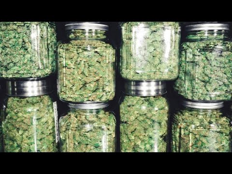 Medical Cannabis 420 WEED Information
