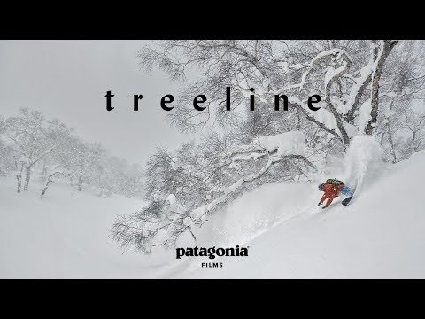 Treeline: The Secret Life of Trees (Full Documentary)