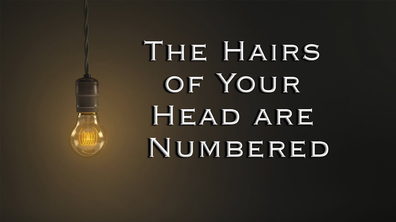 The Hairs of Your Head are Numbered | Pastor Anderson