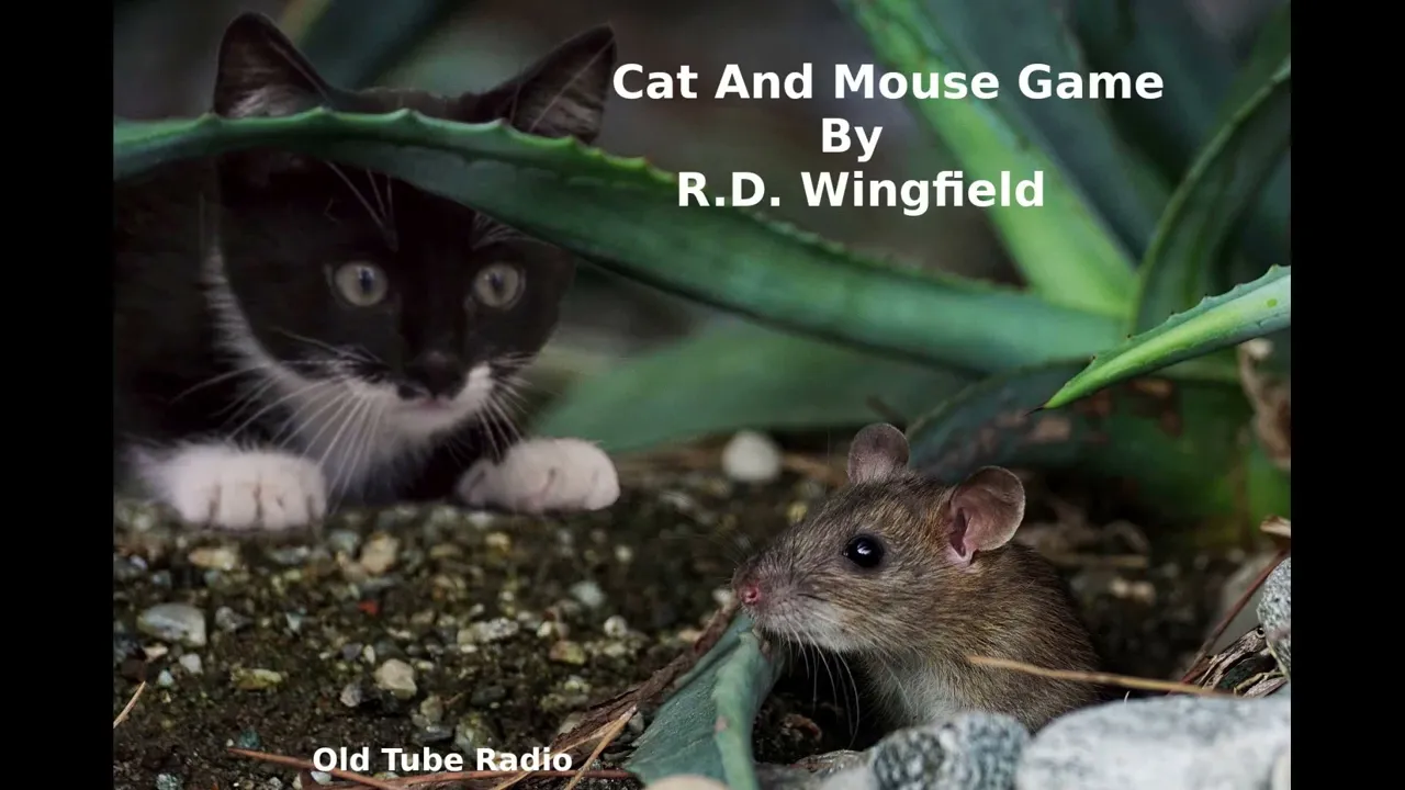 Cat And Mouse Game by R.D. Wingfield