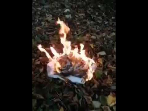 Democrat Films Himself Burning Your Votes Ending with Fuck You Trump