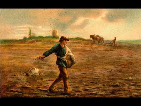 The Sower Went out to Sow: What is Your Soil Like?