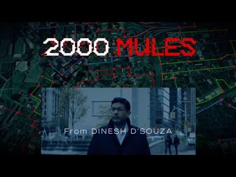Watch 2000 Mules - Dinesh D'Souza Full Documentary - WATCH Online Free MAY 2 - 3 2022 | on progres