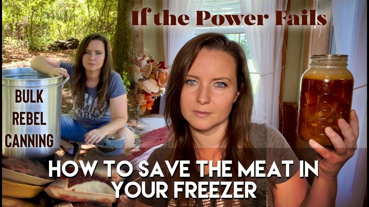 How To Save Your Freezer Meat When Power Grid Fails