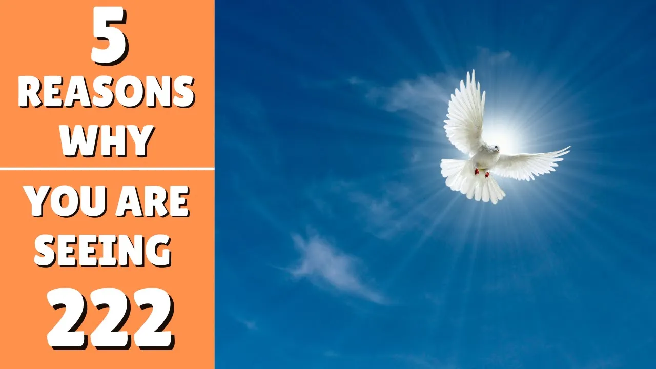 5 Reasons Why You May Be Seeing 222 | 222 Meaning Explained