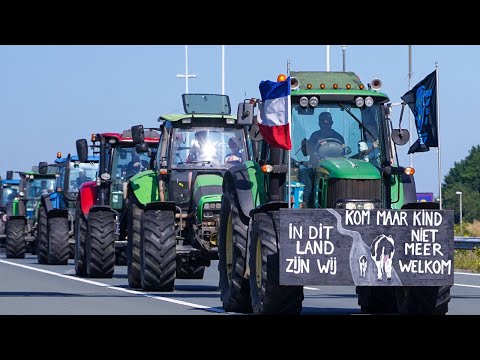 'Broad sense of frustration, anger, despair': Dutch farmers protest against nitrogen cuts