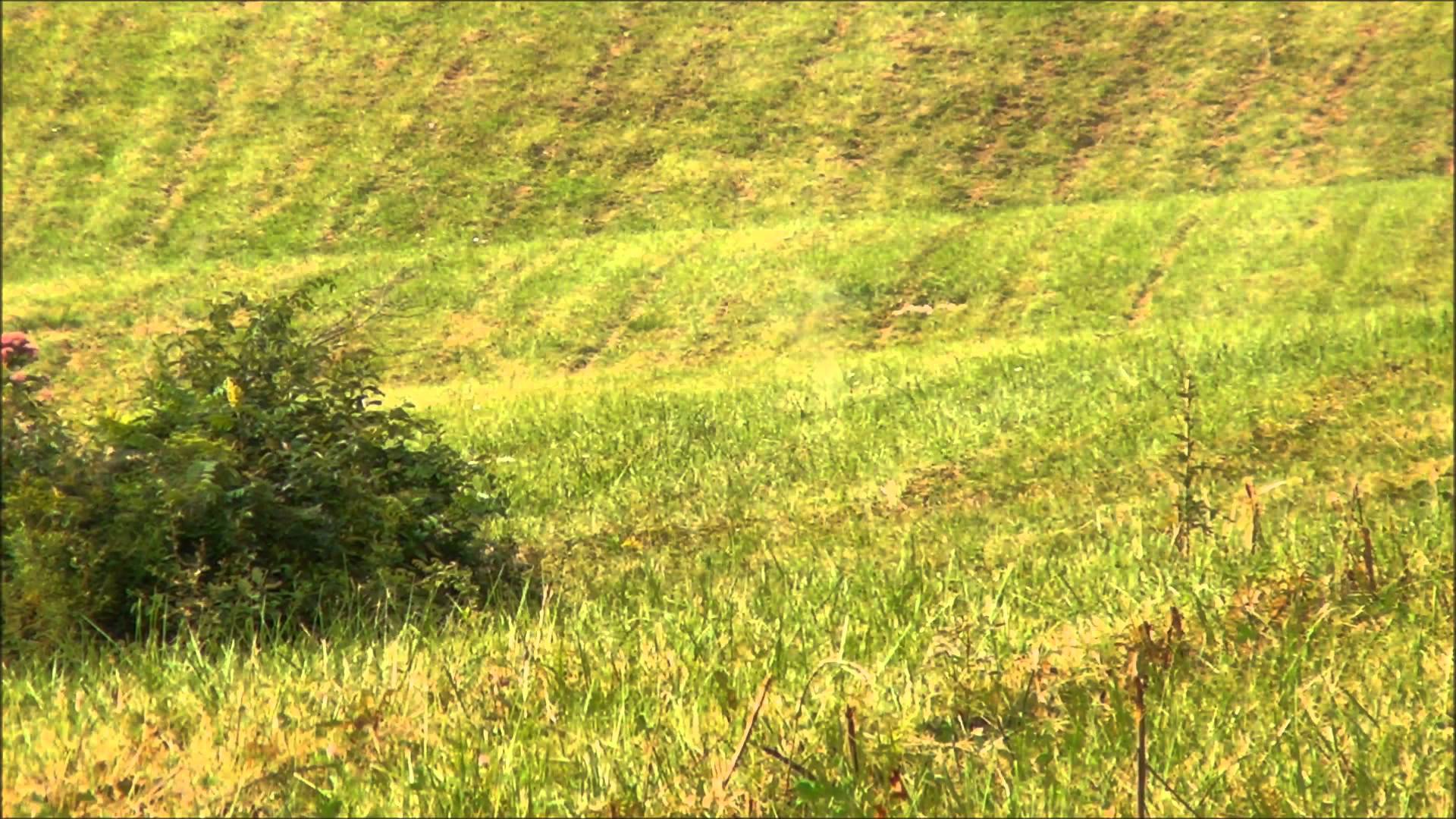 Ohio Groundhog 2013 260AI Ackley Improved Field of Dreams by Nito Mortera