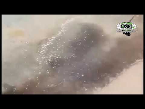 Saudia Arabia OSE II shoreline demonstration