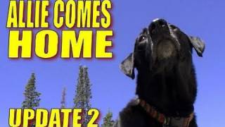 "Allie Comes Home" by Nutnfancy (Surgery Update 2)