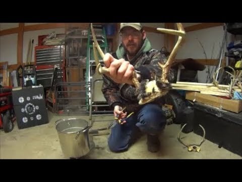 Cleaning Antlers For Mounting
