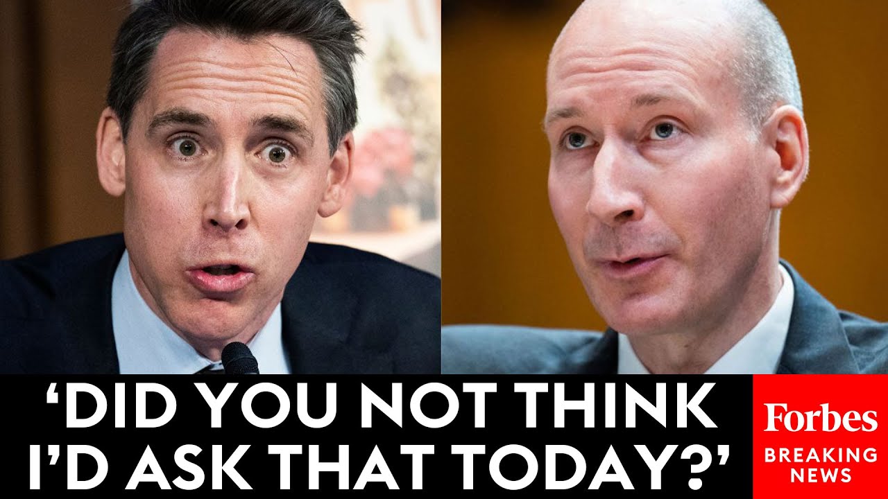 JUST IN: Josh Hawley Does Not Let Up On Biden Official In Tense Senate Hearing