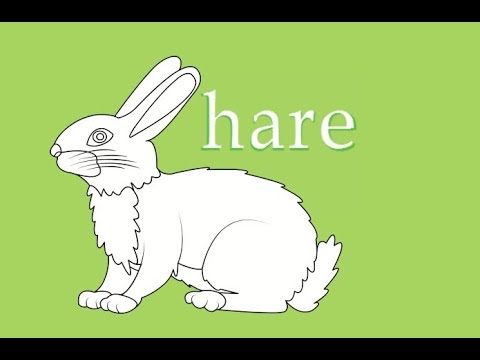 How to draw a hare, draw animals, #Kids, #YouTubeKids
