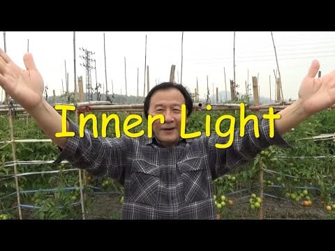 Inner Light Invisible Action Wuwei Tao Te Ching 47