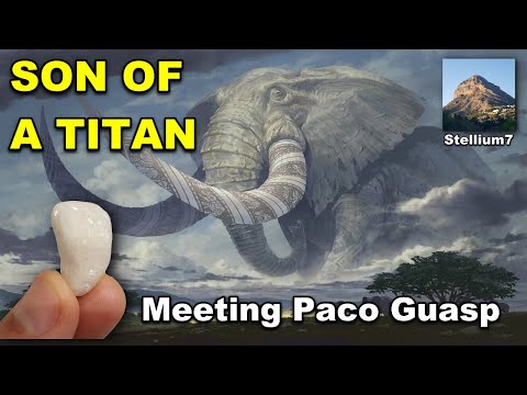SON OF A TITAN - Meeting Paco Guasp