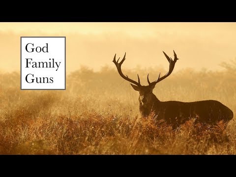 Top 10 Most Used Deer Rifles In America